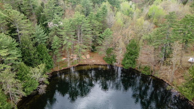 view of property location with a forest and a nearby body of water
