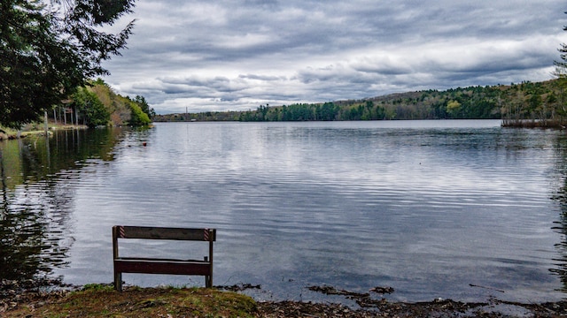 water view featuring a heavily wooded area