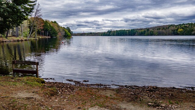 water view featuring a forest