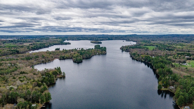 bird's eye view of a nearby body of water and a forest