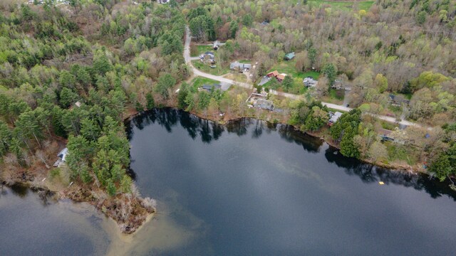 view of property location with a forest and a large body of water