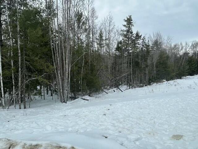 snowy landscape featuring a forest view