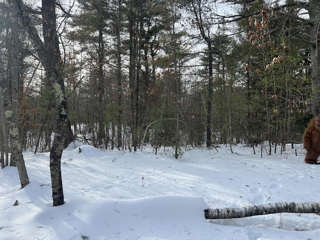 013-042C Sokokis Trl, Waterboro ME, 04061 land for sale