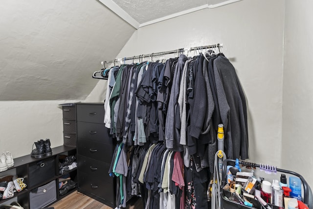 spacious closet with lofted ceiling and wood finished floors