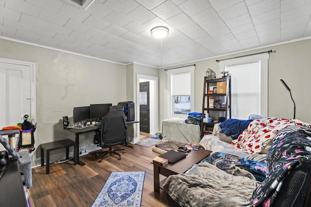 office featuring ornamental molding and dark wood-type flooring