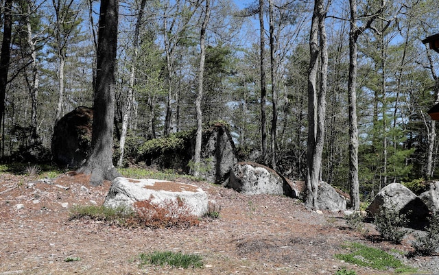 51 Short Point Way, Orland, ME 04472 - view of undeveloped land