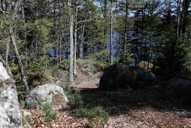 51 Short Point Way, Orland, ME 04472 - view of undeveloped land
