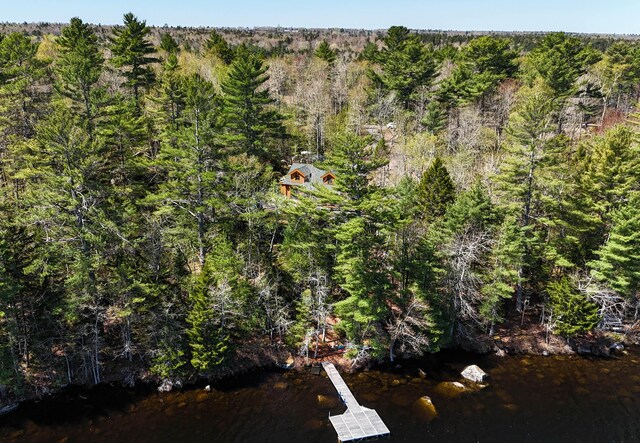 51 Short Point Way, Orland, ME 04472 - drone / aerial view of a forest