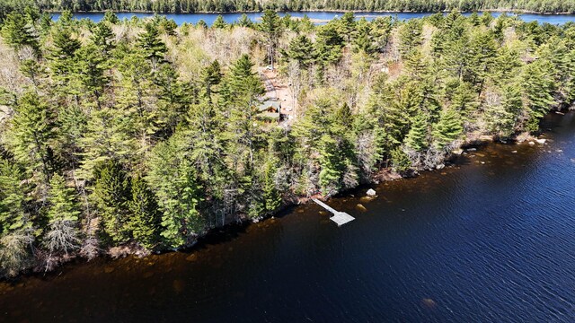 51 Short Point Way, Orland, ME 04472 - view of property location with a forest and a large body of water