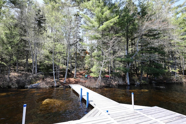 51 Short Point Way, Orland, ME 04472 - view of dock area