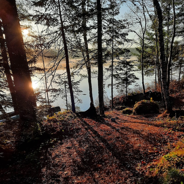 51 Short Point Way, Orland, ME 04472 - water view