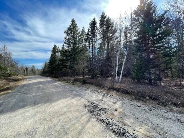 LOT13 Putnam Dr, Harrington, ME 04643 - photo 1