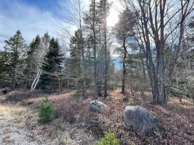 LOT13 Putnam Dr, Harrington, ME 04643 - photo 2