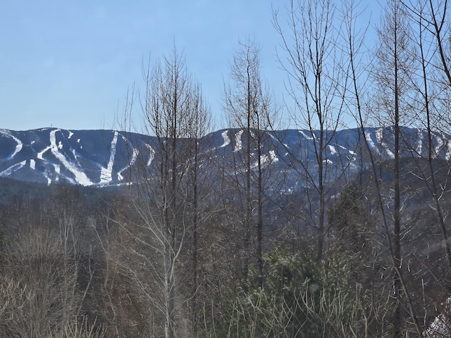 mountain view with a view of trees