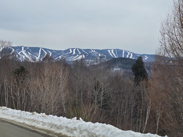 view of mountain feature