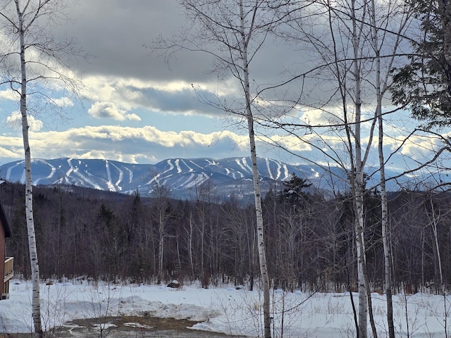 property view of mountains with a view of trees