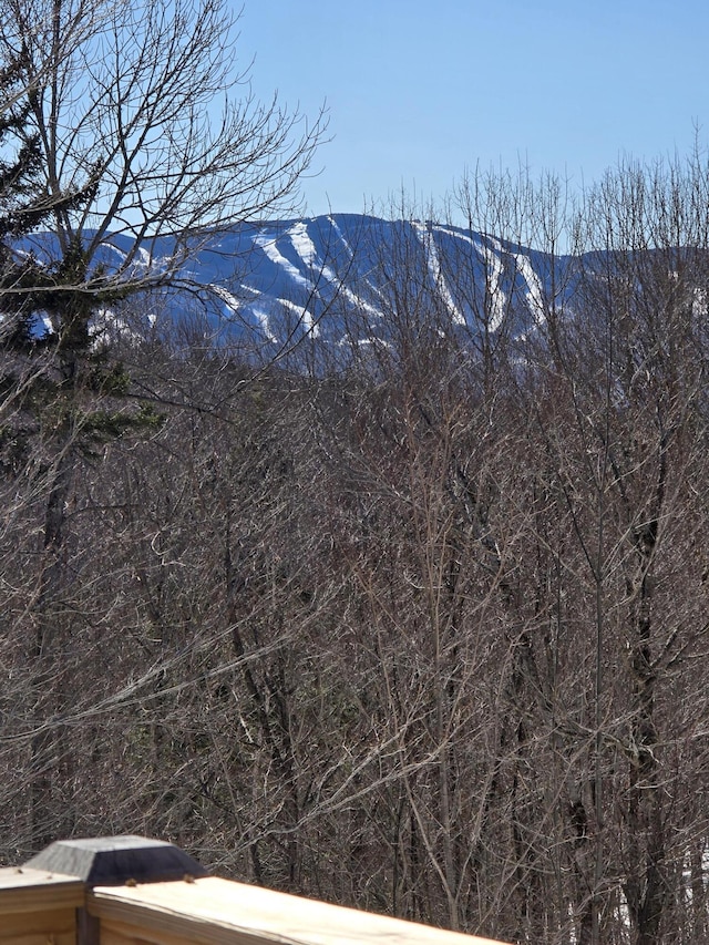 property view of mountains