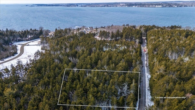 Listing photo 2 for LOT13 Nahanada Rd, Bristol ME 04554