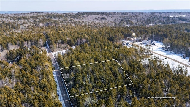 Listing photo 3 for LOT13 Nahanada Rd, Bristol ME 04554