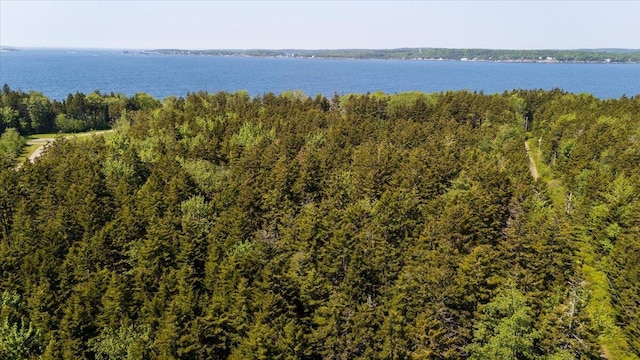 LOT13 Nahanada Rd, Bristol, ME 04554