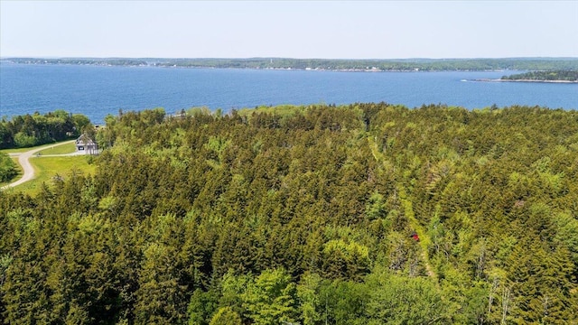 LOT13 Nahanada Rd, Bristol, ME 04554