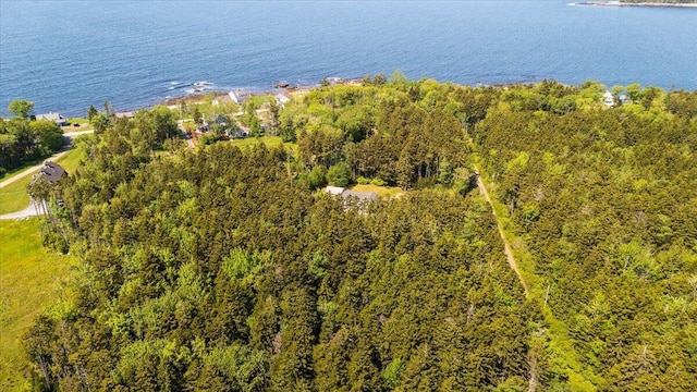 LOT13 Nahanada Rd, Bristol, ME 04554