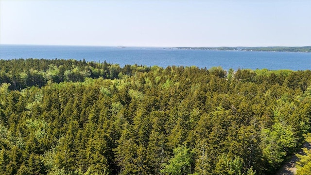 LOT13 Nahanada Rd, Bristol, ME 04554
