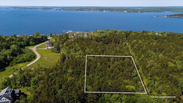 LOT13 Nahanada Rd, Bristol, ME 04554