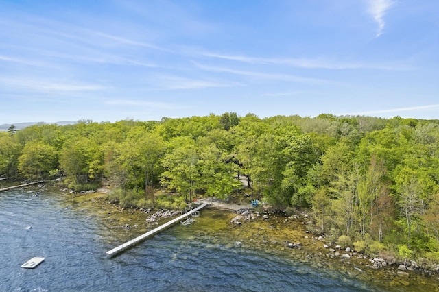 birds eye view of property with a water view and a view of trees