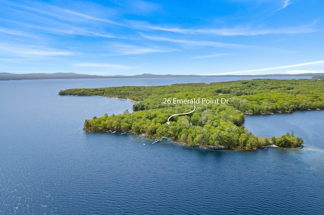 aerial view featuring a water view and a wooded view