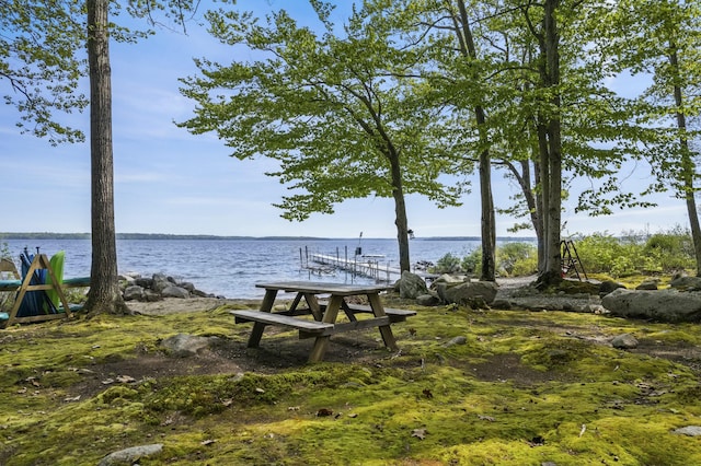 dock area with a water view