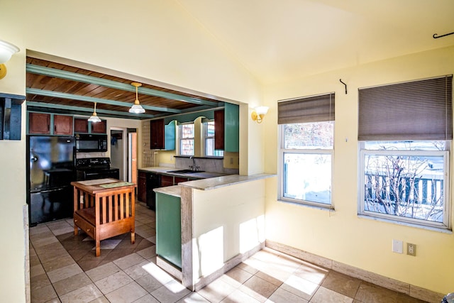 kitchen with plenty of natural light, vaulted ceiling, a sink, and black appliances