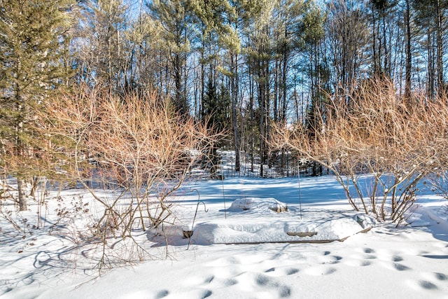 view of snowy yard