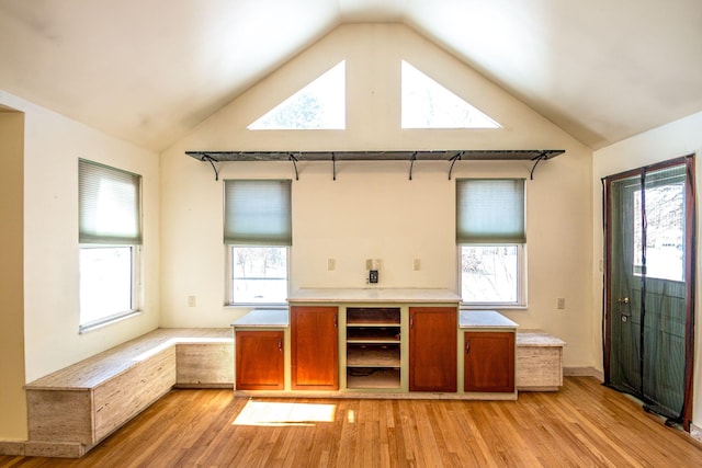 interior space featuring light wood-style floors, plenty of natural light, and high vaulted ceiling