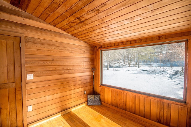 view of sauna featuring hardwood / wood-style flooring