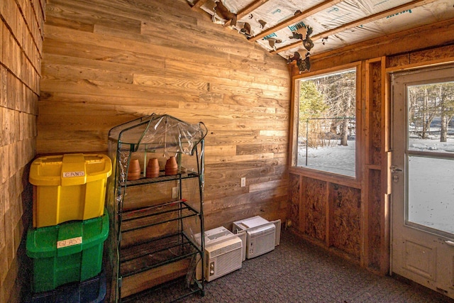 entryway with carpet floors and wood walls