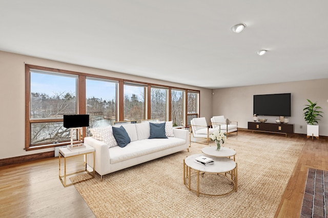 living area featuring baseboards and wood finished floors