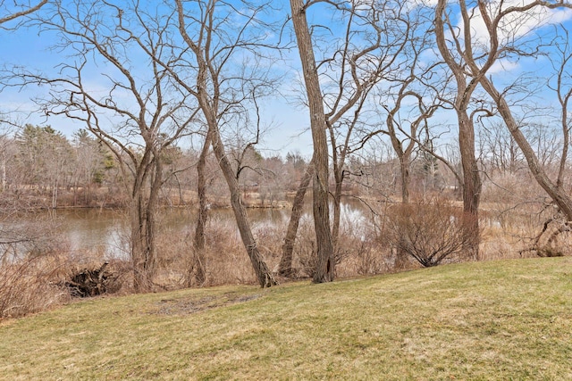 view of water feature