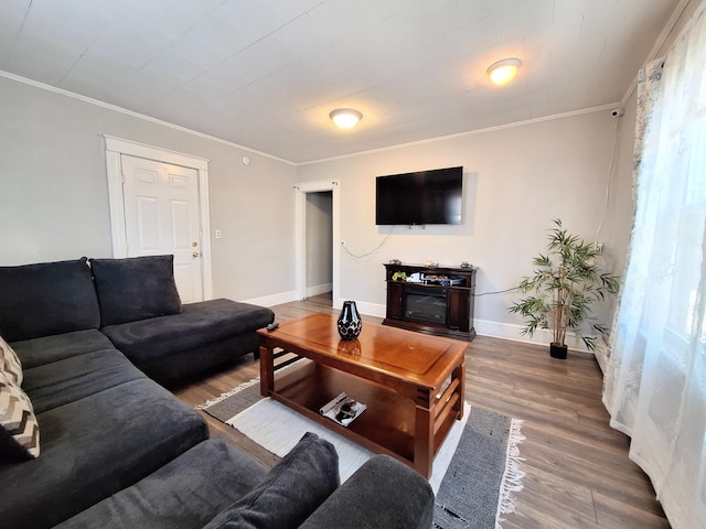 living room with baseboards, wood finished floors, and crown molding