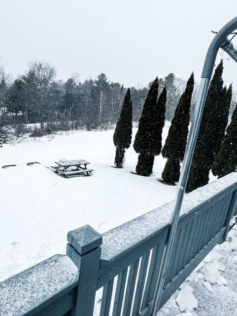 view of yard layered in snow