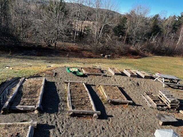 view of yard featuring a vegetable garden