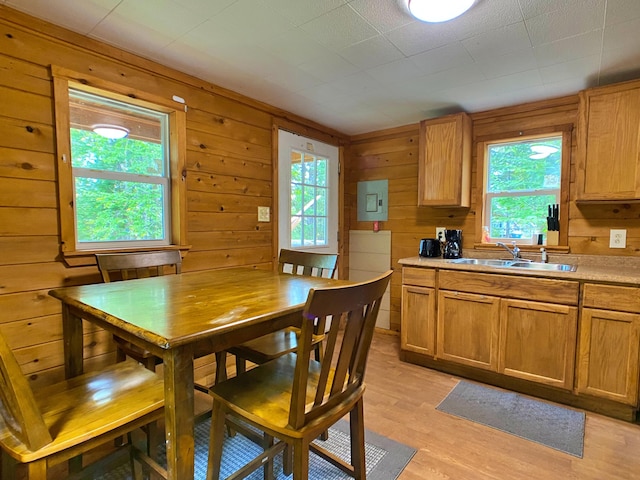 kitchen with light wood-style flooring, light countertops, a sink, and wood walls