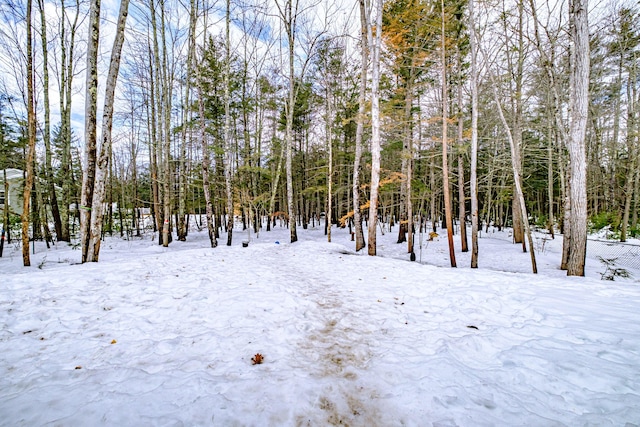 view of snowy yard