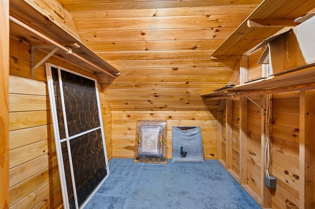 additional living space with wooden walls and carpet