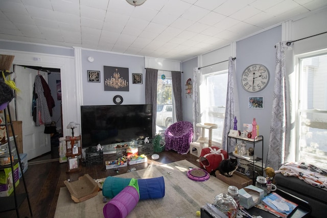 living area featuring crown molding and wood finished floors