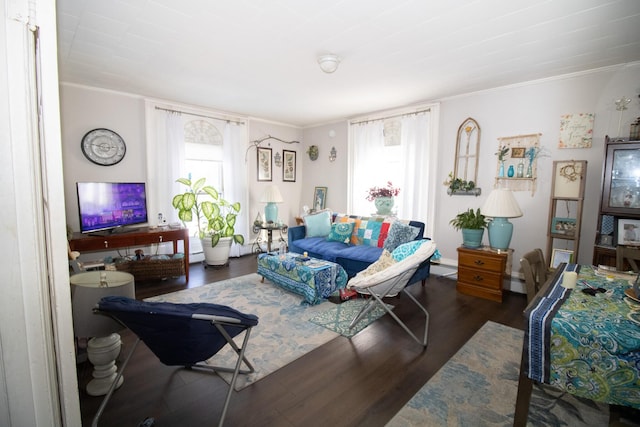 living area featuring a healthy amount of sunlight, crown molding, baseboard heating, and wood finished floors