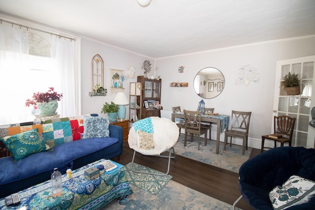 living room featuring baseboards, wood finished floors, and crown molding