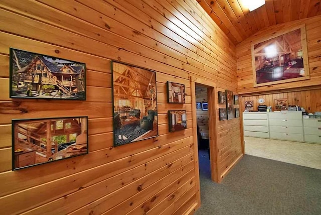 hallway featuring wooden ceiling, wood walls, and carpet floors