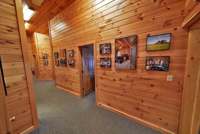 hallway with carpet, wooden ceiling, and wooden walls