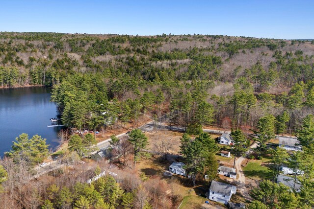 bird's eye view with a water view and a view of trees